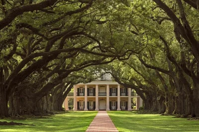 Feel the hush of louisiana swamps, walk beneath oak alley’s oaks, and hear local stories on a full-day tour from new orleans with pickup included.