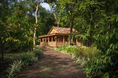 Feel the pulse of costa rica’s wildlife and culture with a guided tour through an animal sanctuary, hands-on coffee and chocolate making, and lush botanical gardens. includes guide.