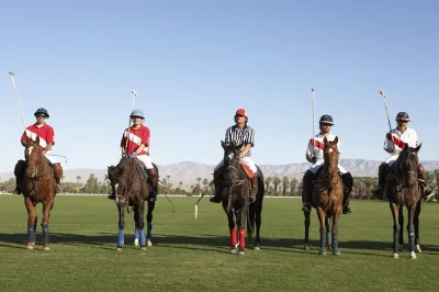 Feel the rush of polo near buenos aires—watch a live match, try your hand in a lesson, and relax over an argentinian bbq lunch with wine. includes pickup.