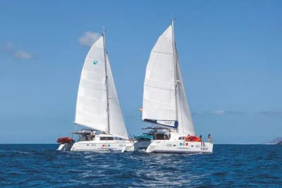 Set sail from fuerteventura to lobos island by catamaran, enjoy spanish paella lunch, snorkel, kayak, and sup with hotel pickup included. small group tour.