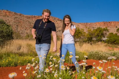 Wake up to desert colors at alice springs desert park, with self-guided entry, daily aboriginal guide talks, and up-close wildlife encounters. wheelchair accessible.