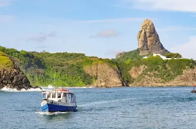 Sancho Bay Diving: Dolphins & Reef Fish from Fernando de Noronha