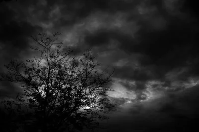 Step into salem’s shadowy past on a night walking tour, hearing real murder tales and local legends with a guide. adults only, rain or shine, includes photo stops.