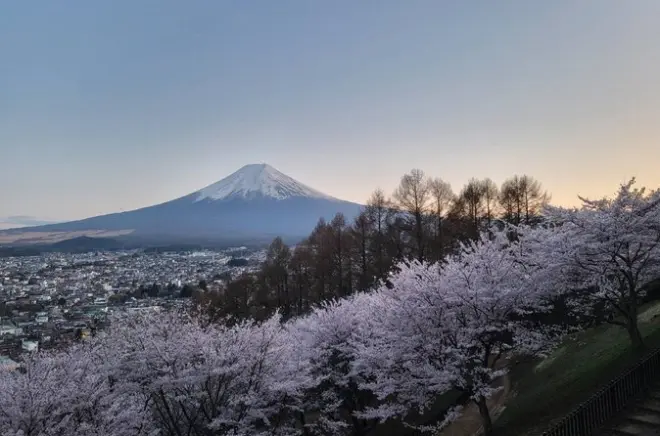 Tour privato in auto da Tokyo al monte Fuji con guida in inglese
