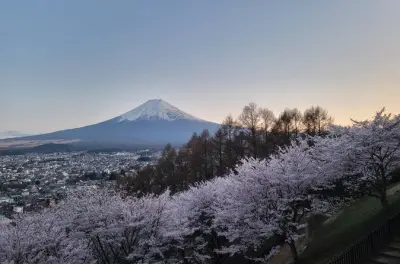 Tour privato in auto da Tokyo al monte Fuji con guida in inglese