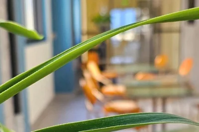 Enjoy a caribbean fine dining dinner in curacao with a 3-course menu, amuse-bouche, and guided willemstad night tour. includes pick-up and drop-off.