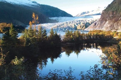 Siente el frío del glaciar mendenhall, observa jorobadas en un tour de avistamiento de ballenas y disfruta salmón salvaje en una barbacoa en el bosque, con guía local y traslado incluido.