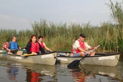 Half-day canoe trip on mukungwa river near musanze. paddle with a local guide, spot birds, meet villagers, and enjoy rwanda’s countryside. book now.
