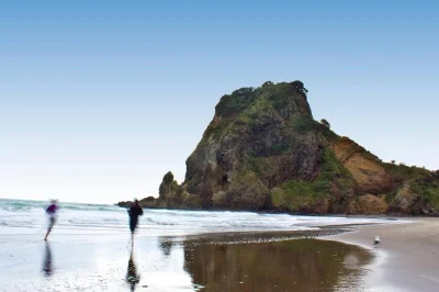 Feel auckland’s city pulse, walk black sands at piha beach, and breathe rainforest air—all in one day. includes hotel pickup, afternoon tea, and local guide.