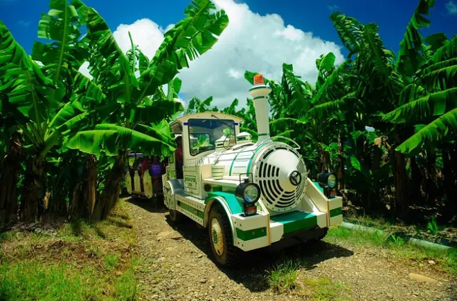 Petit train de la ferme bananière de Belfort, Martinique