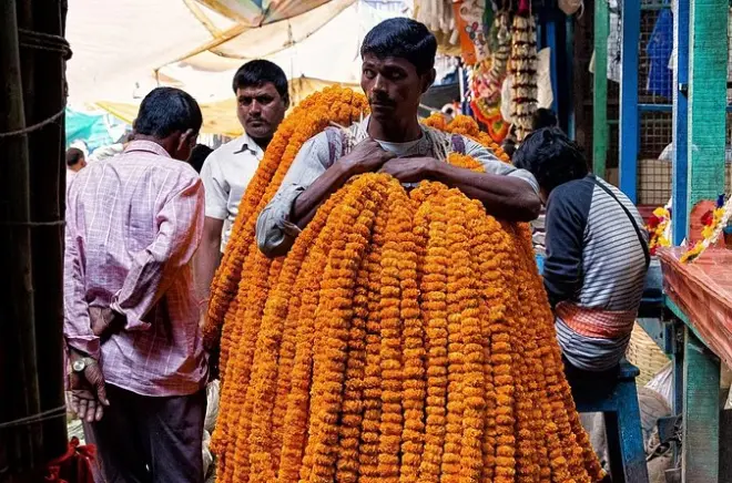 Mercado de Flores de Kolkata e Rio Hooghly: Maior Mercado