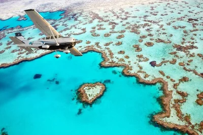 Feel the thrill of a whitsunday islands & heart reef flight from airlie beach, with guaranteed window seats, live pilot commentary, and easy pickup options.