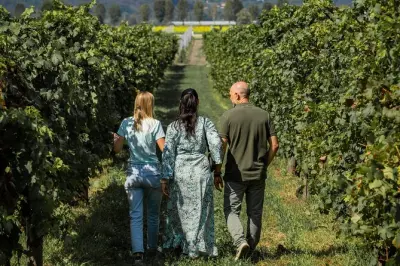 Dégustations d'huile et vin dans les collines Euganeennes depuis Abano