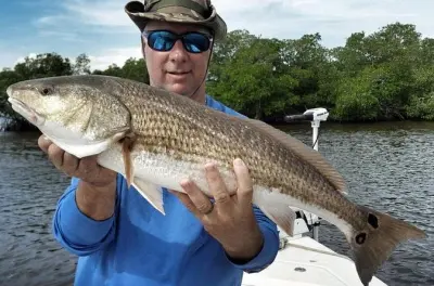 Pesca privata inshore a Sarasota: Personalizza la tua uscita in baia