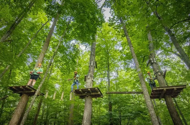 West Virginia Treetop Challenge: Ziplines & Obstacles