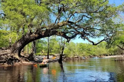 Kayakfahren auf dem Waccamaw River: Private Insel entdecken