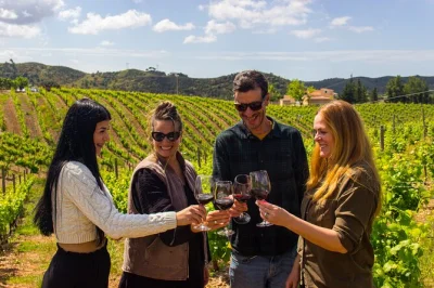 Descubre bodegas boutique cerca de albufeira, prueba vinos del algarve y pasea por el histórico silves. incluye recogida, snacks y catas guiadas en grupo reducido.