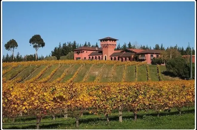 Marlborough Weinverkostung ab Picton: Mit Guide probieren