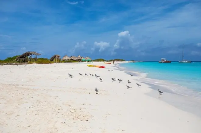 Klein Curacao: Sonnenuntergang, Schnorcheln & pinker Leuchtturm