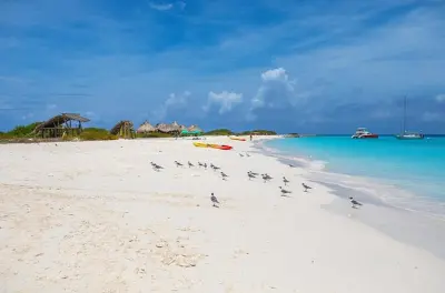 Klein Curacao: Sonnenuntergang, Schnorcheln & pinker Leuchtturm