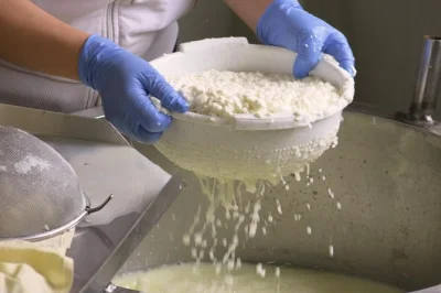 Descubre los pueblos de troodos en chipre con un guía local, degustando halloumi, miel de algarroba y vinos boutique. grupo pequeño, almuerzo meze y recogida en hotel incluidos.