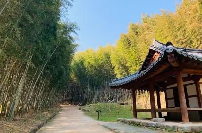 Floresta de bambu de Damyang e comida tradicional saindo de Gwangju
