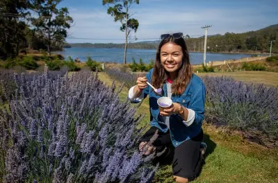 Tour al sito storico di Port Arthur da Hobart: 4 tappe in un giorno
