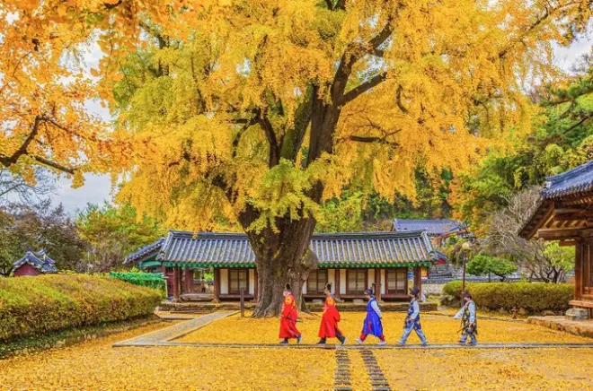 Jeonju Hanok Village Tour: Traditionelles Dorfwandern ab Seoul