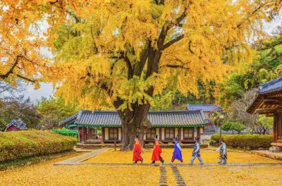 Jeonju Hanok Village Tour: Traditionelles Dorfwandern ab Seoul