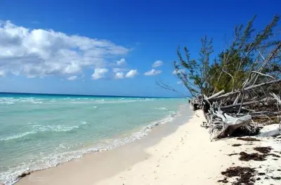 Grand Bahama privé : Plages et grottes du East End en journée
