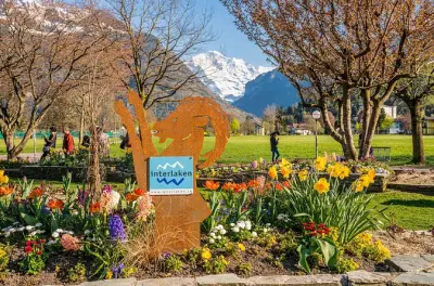 Alpi svizzere private: Interlaken, Grindelwald e Lauterbrunnen