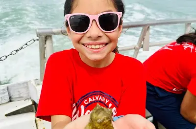 3 PM Dolphin Watch Escape: South Padre Island Laguna Madre Cruise