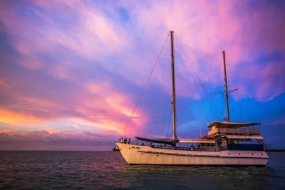 Watch the sun set over darwin harbour on a relaxed dinner cruise with local seafood, four-course meal, and licensed bar. includes wheelchair access and dietary options.