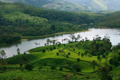 Wake up to misty tea hills in munnar, spot wildlife at periyar, and drift overnight on an alleppey houseboat. includes pickup, 5-star hotels, and all meals.