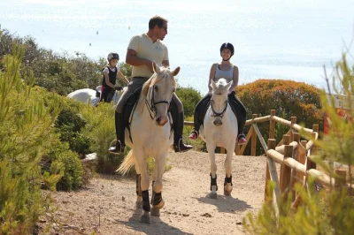 Feel the ocean breeze on a gentle horseback ride along portimao’s wild coastline. no experience needed, animal-friendly horses, includes riding hats and local guide.