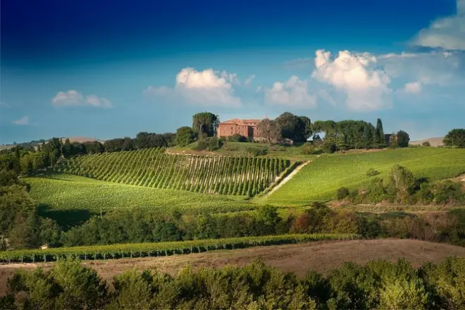Montalcino : Dégustation de 3 vins toscans avec sommelier