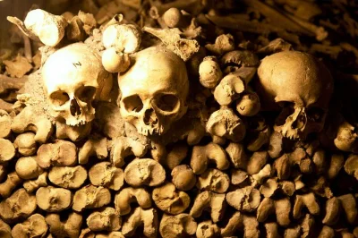 Step beneath paris with a small group for a catacombs tour, special access tunnels, and stories from an expert guide. includes entry tickets and intimate group size.