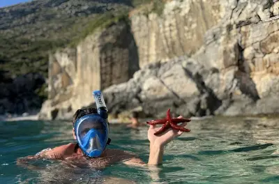 Schnorcheln in der Grama-Bucht: Höhlen, Riffe und Mönchsrobben