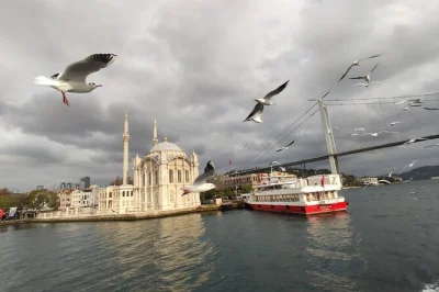 Feel the pulse of istanbul on a guided bosphorus cruise, passing hagia sophia, dolmabahce palace, and more. includes cruise ticket and live commentary.