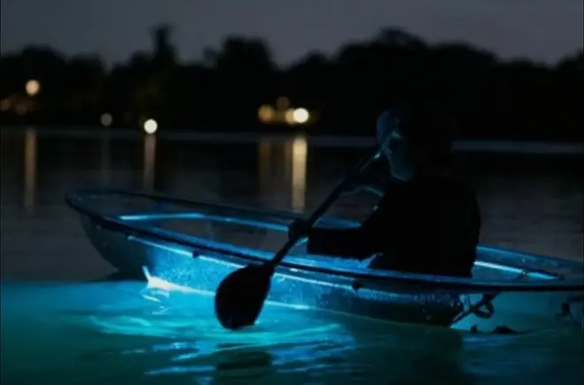 Klare Kajaks auf Vieques BioBay: Biolumineszierendes Wasser