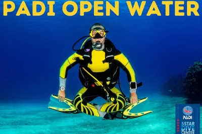 Padi open water diver kurs in costa adeje: 4 tage, privater tauchlehrer, bootstauchgänge und komplette ausrüstung inklusive. tauche weltweit bis 18m tief.