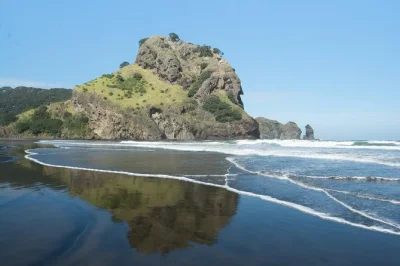 Feel ancient kauri forests, wild black sand beaches, and cliff hikes near auckland. includes hotel pickup, local guide, and picnic lunch for a true nature day.