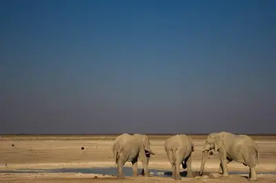 3-Day Etosha Safari from Windhoek: Game Drives & Himba Village