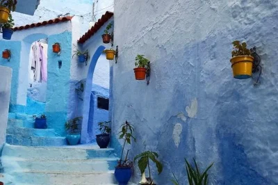 Chefchaouen: passeio privado de um dia saindo de fes com transfer, tour guiado pela medina, degustação de queijo local e tempo livre para explorar a cidade azul. reserve já.