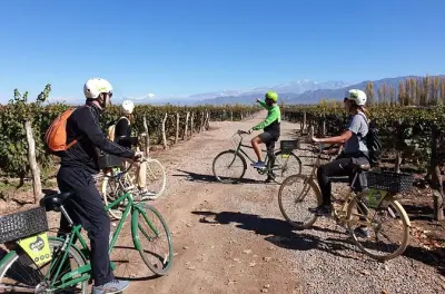 Luján de Cuyo : Vélo, vins et déjeuner dans trois bodegas