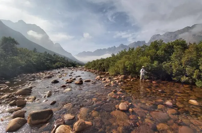 Cape Town: Pesca com mosca de truta arco-íris e peixes do estuário