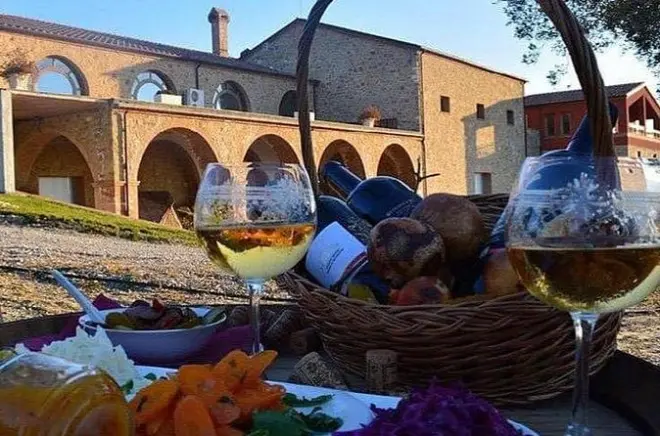 Wein- und Olivenölverkostung bei Tirana: Probieren und lernen