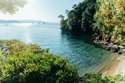Snorkel en la bahía de Paraggi: Pradera de Posidonia y vida marina