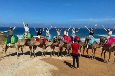 Feel the pulse of tangier with a private day tour—kasbah walks, hercules caves, camel ride, and mint tea at café hafa. includes port pickup and local guide.
