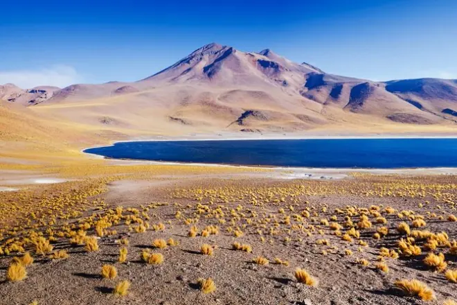 Piedras Rojas et lagunes altiplaniques au départ de San Pedro
